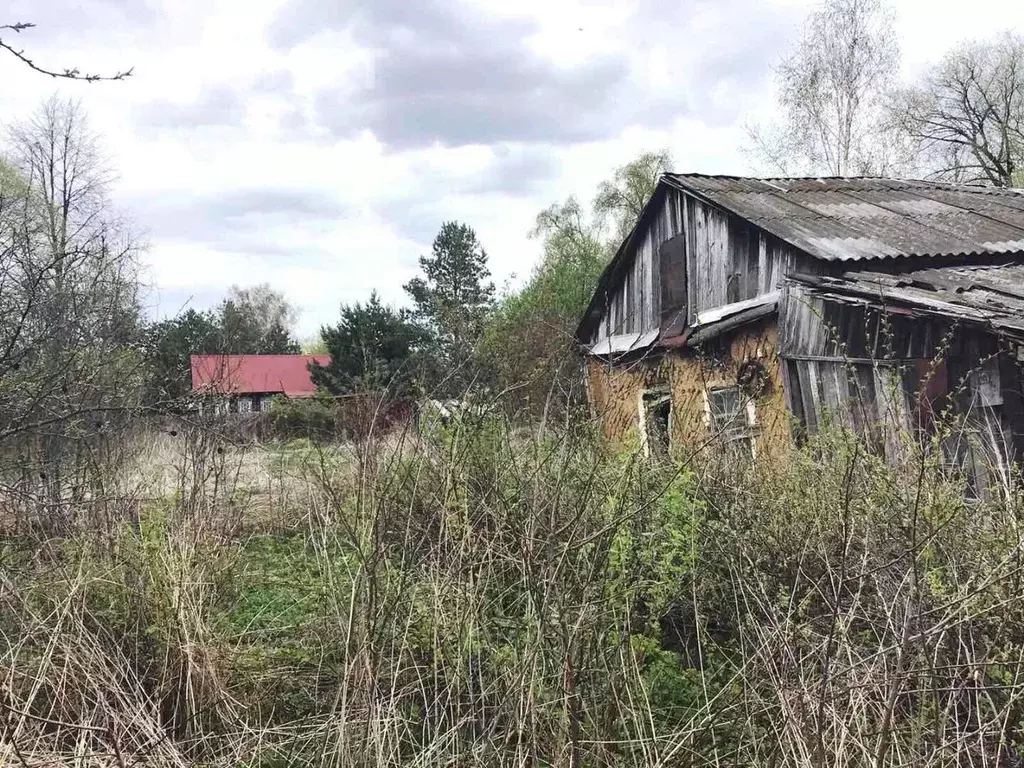 Веневский Р Н Анишино Купить Дачу