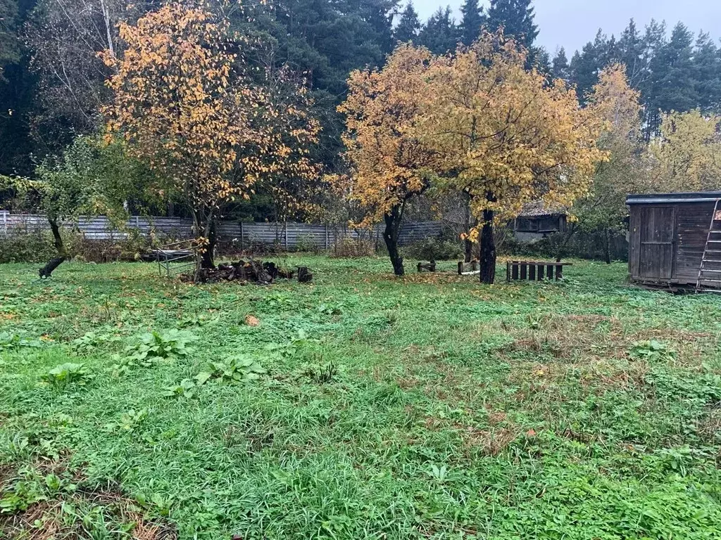 Участок в Московская область, Солнечногорск городской округ, Андреевка ... - Фото 1