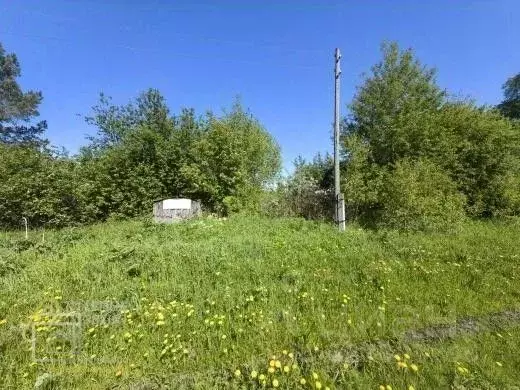 Участок в Новосибирская область, Мошковский район, пос. Новослободка ... - Фото 2