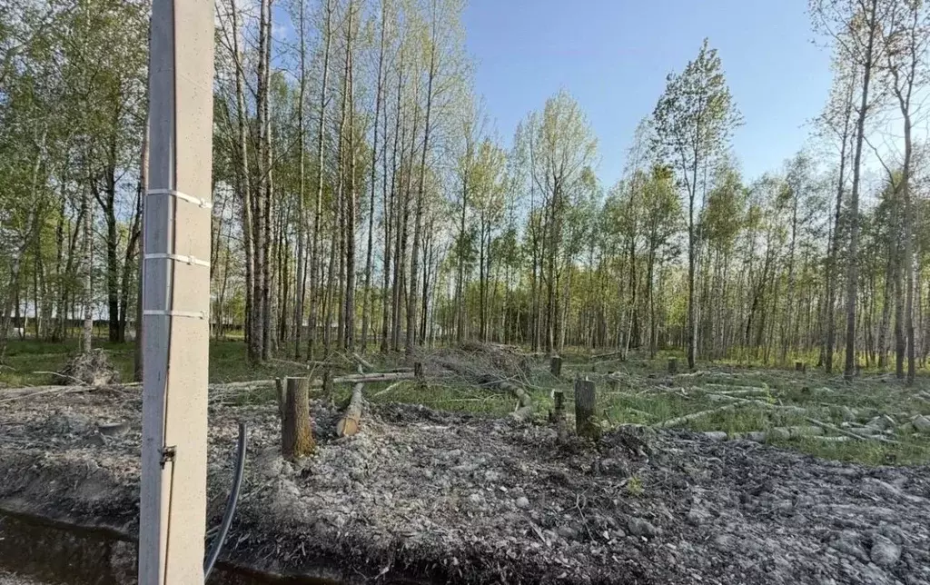 Участок в Санкт-Петербург, Санкт-Петербург, Павловск Павлов Скай кп, ... - Фото 1