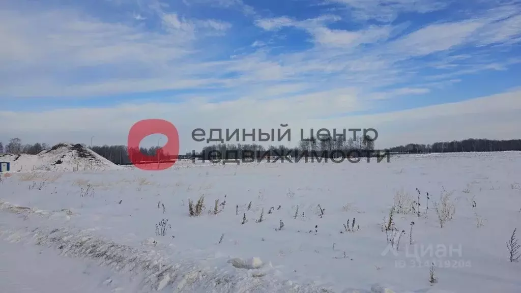 Участок в Тюменская область, Тюменский район, Новокаменский кп  (10.38 ... - Фото 0