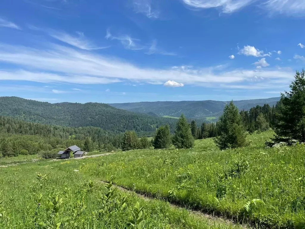 Участок в Алтай, Чемальский район, Седьмое небо кп  (28.07 сот.) - Фото 1