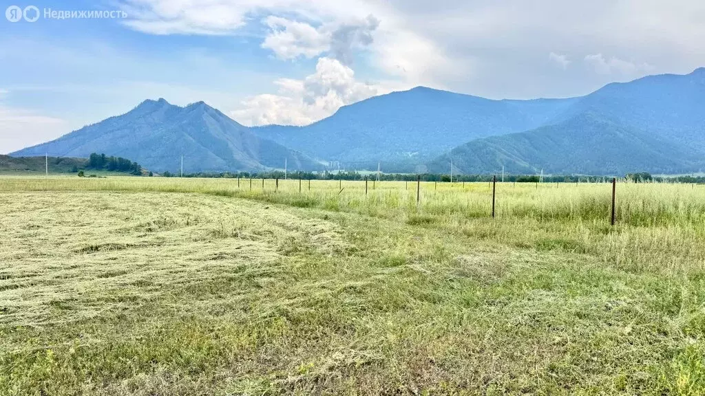 Участок в Усть-Коксинский район, село Тихонькая (10 м) - Фото 2