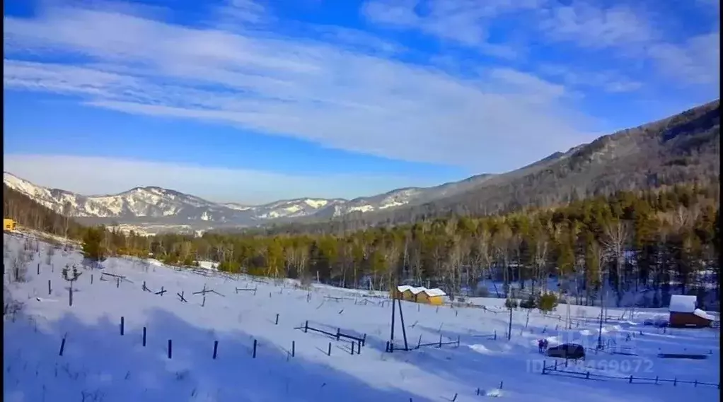 Участок в Алтай, Майминский район, Манжерокское с/пос, с. Озерное ул. ... - Фото 1