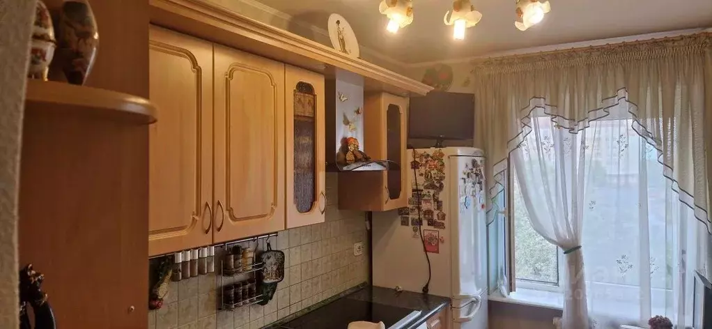 1-к кв. Калининградская область, Калининград ул. Александра Невского, ... - Фото 1