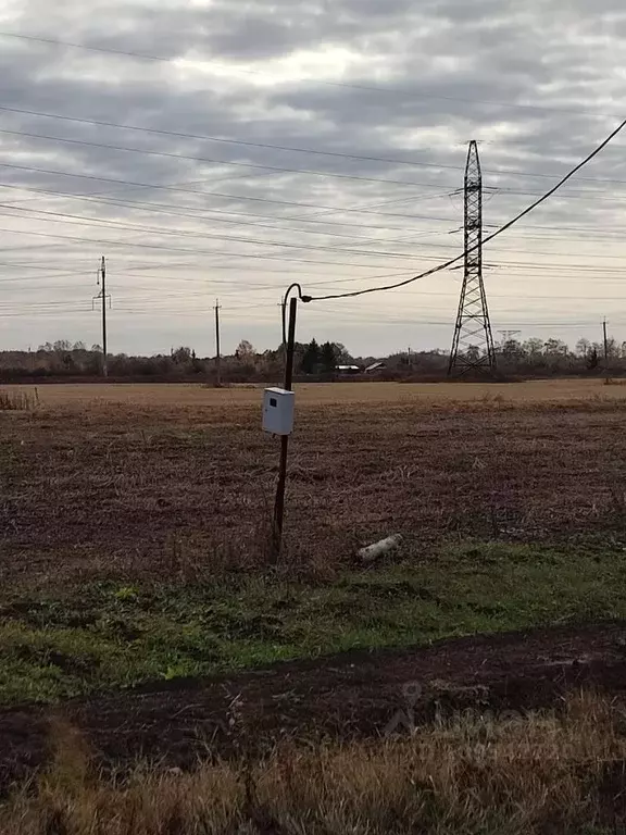 Участок в Омская область, Омский район, с. Лузино Дачная ул., 21 (15.0 ... - Фото 1