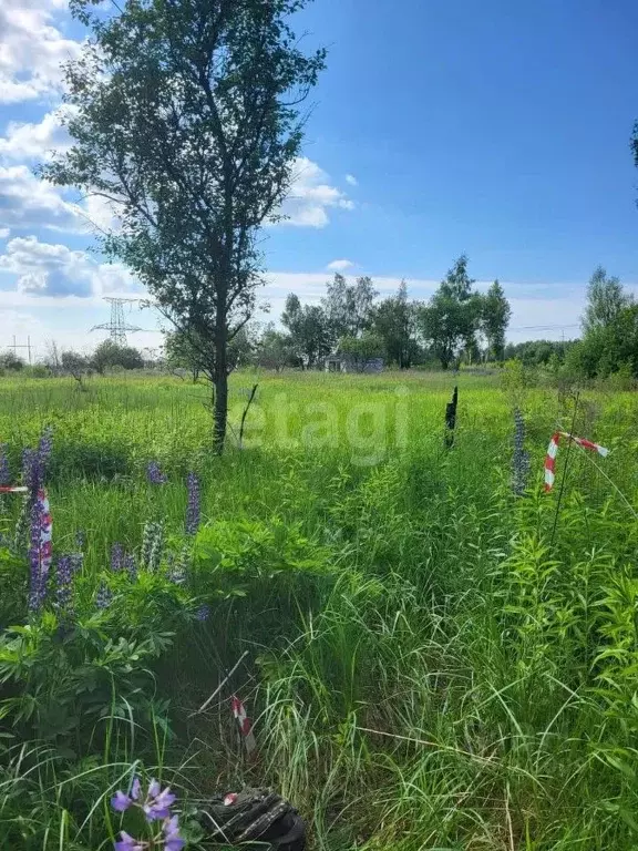 участок в калининградская область, калининград малиновая ул. (6.0 . - Фото 0