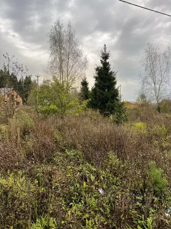 Участок в Московская область, Дмитровский муниципальный округ, Аусбург ... - Фото 1