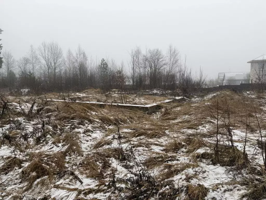 Участок в Владимирская область, Струнино г. Александровский ... - Фото 1