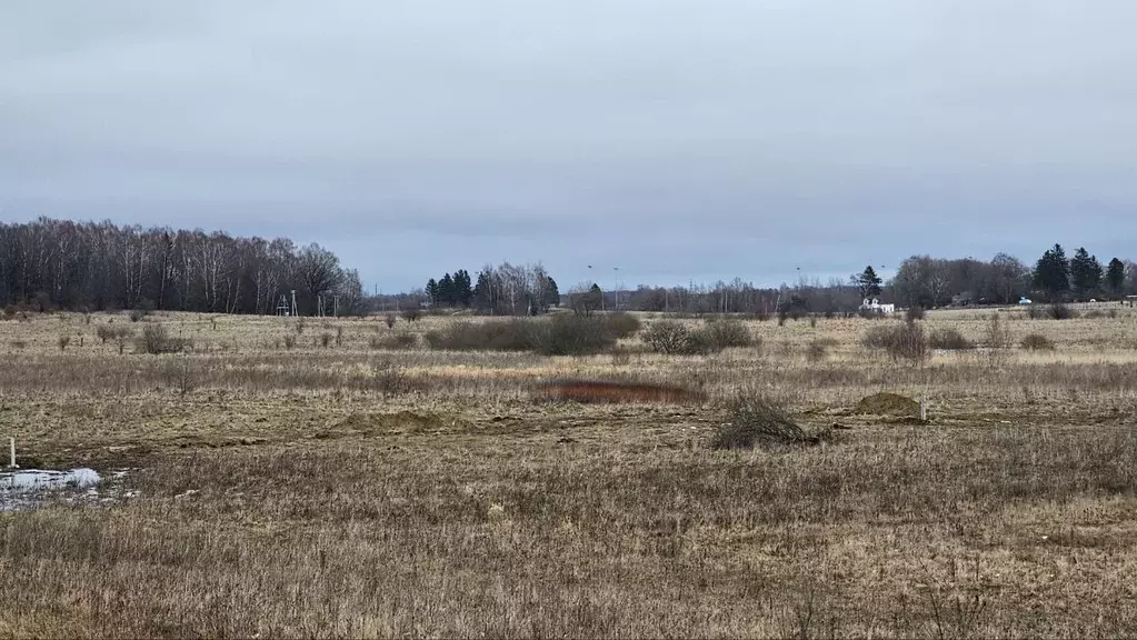 Участок в Калининградская область, Зеленоградский муниципальный округ, ... - Фото 1