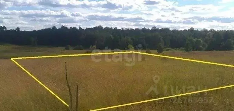 Участок в Ставропольский край, Шпаковский муниципальный округ, с. ... - Фото 2