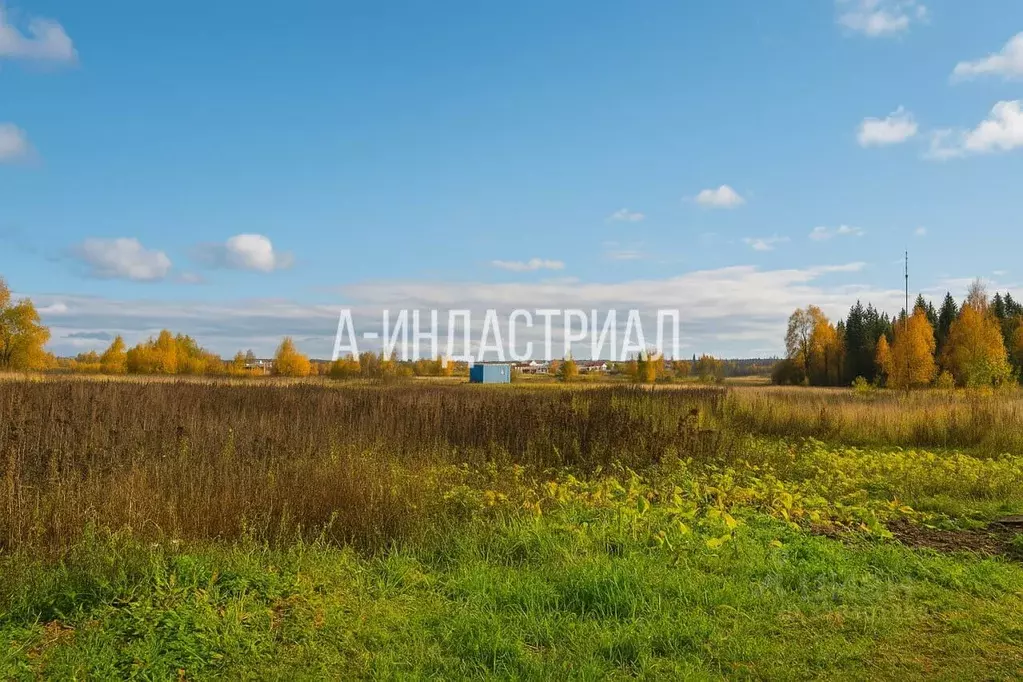 Участок в Московская область, Химки городской округ, д. Елино К21 ... - Фото 2