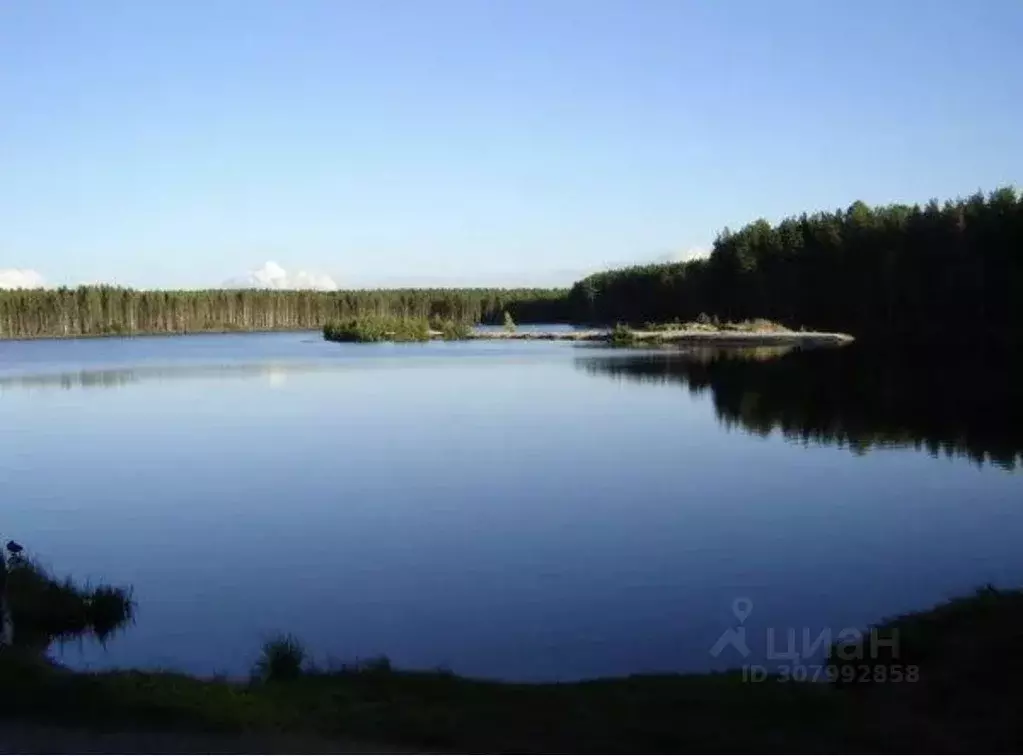 Дом в Ленинградская область, Всеволожский район, Морозовское городское ... - Фото 0