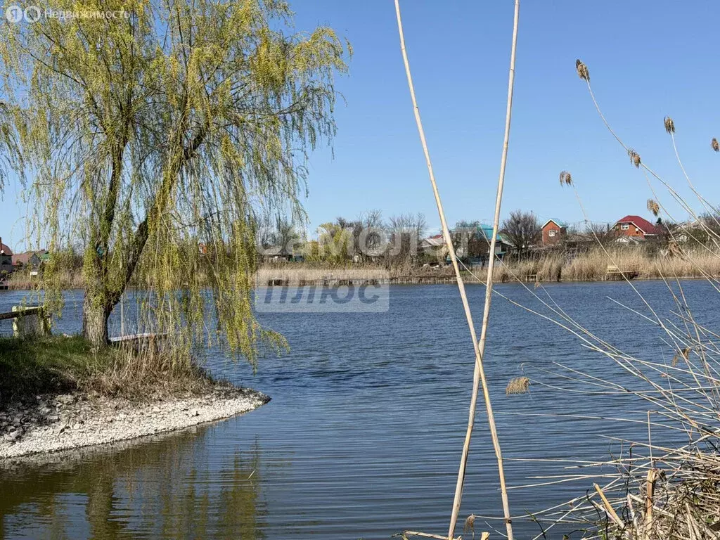 Участок в Тимашевск, улица Крупской, 6 (8 м) - Фото 1