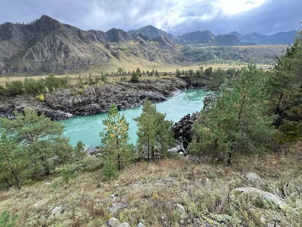 Участок в Алтай, Чемальский район, Чемальское с/пос  (1689.45 га.) - Фото 1