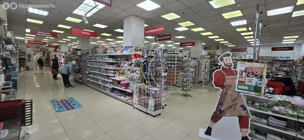 Помещение свободного назначения (506 м) - Фото 1