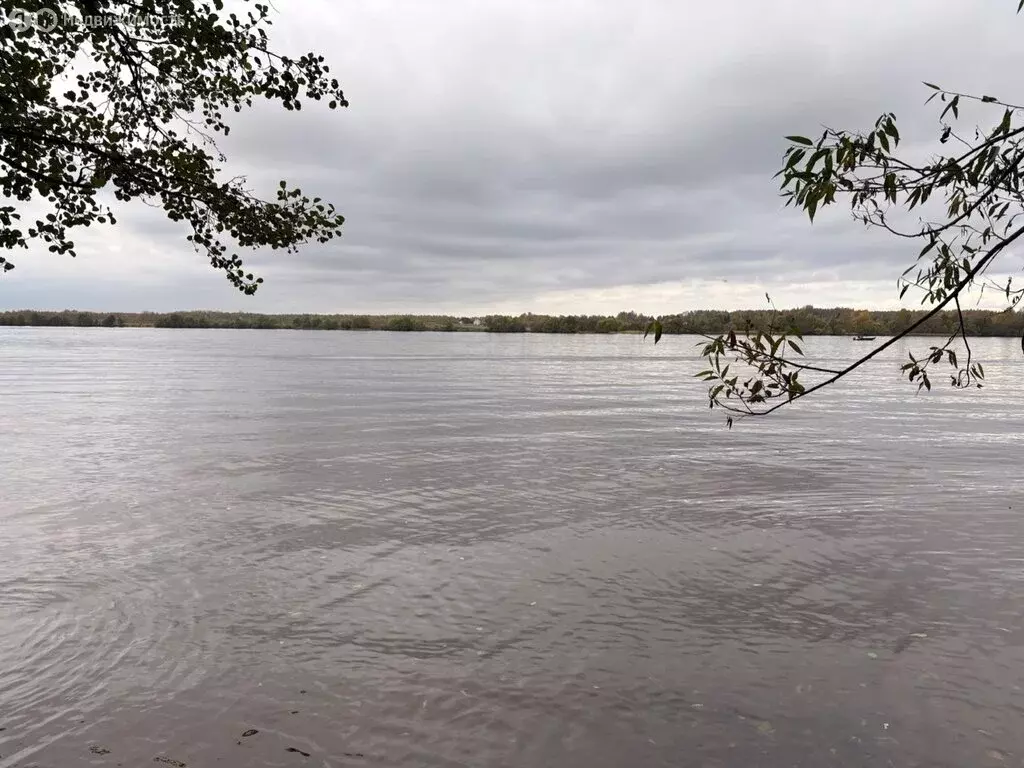 Участок в Тверская область, Кимрский муниципальный округ, деревня ... - Фото 1