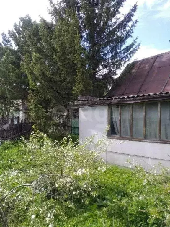 Дом в Омск, садоводческое некоммерческое товарищество Каучук (30 м) - Фото 1