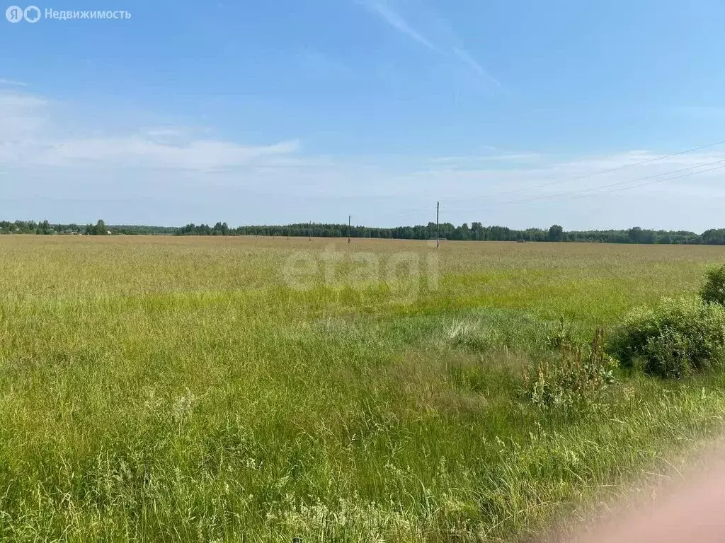 Участок в Ярославская область, Некрасовский муниципальный округ, ... - Фото 2