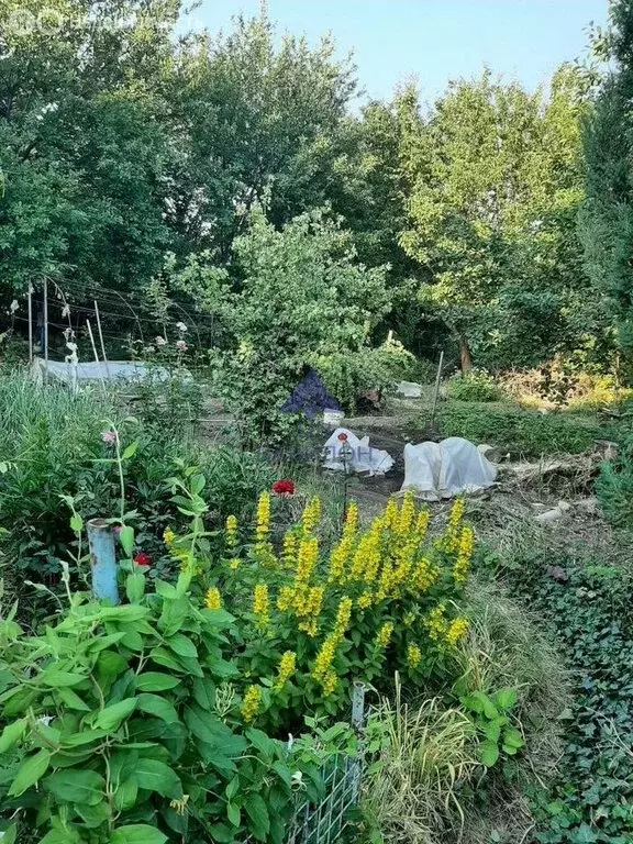 Дом в Волгодонск, квартал В-Б (20 м) - Фото 2