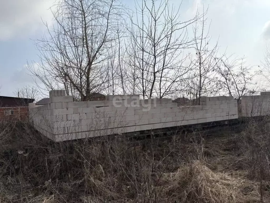 Участок в Белгородская область, Корочанский район, Погореловское ... - Фото 1