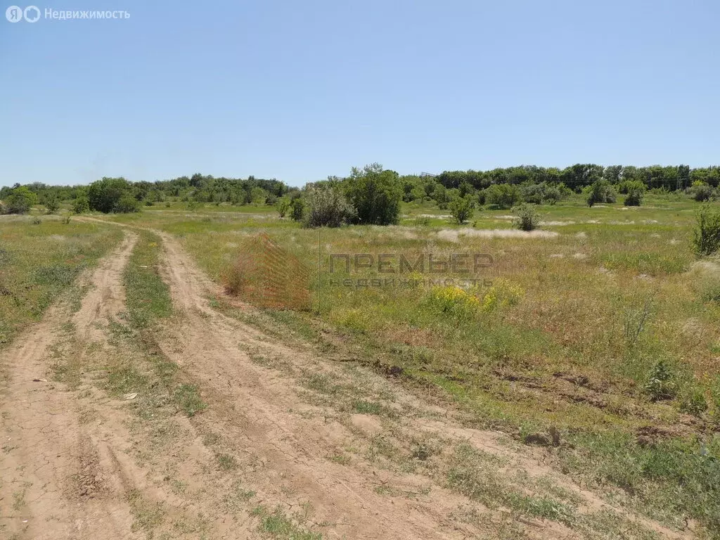 Участок в Волгоград, микрорайон Солнечный, Плодовая улица, 66 (6 м) - Фото 0