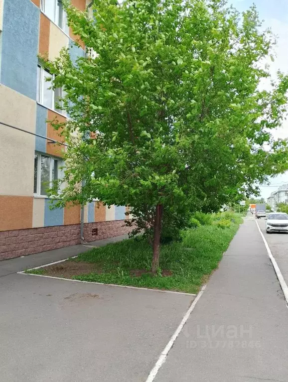 1-к кв. Омская область, Омск Верхнеднепровская ул., 269к3 (34.8 м) - Фото 1
