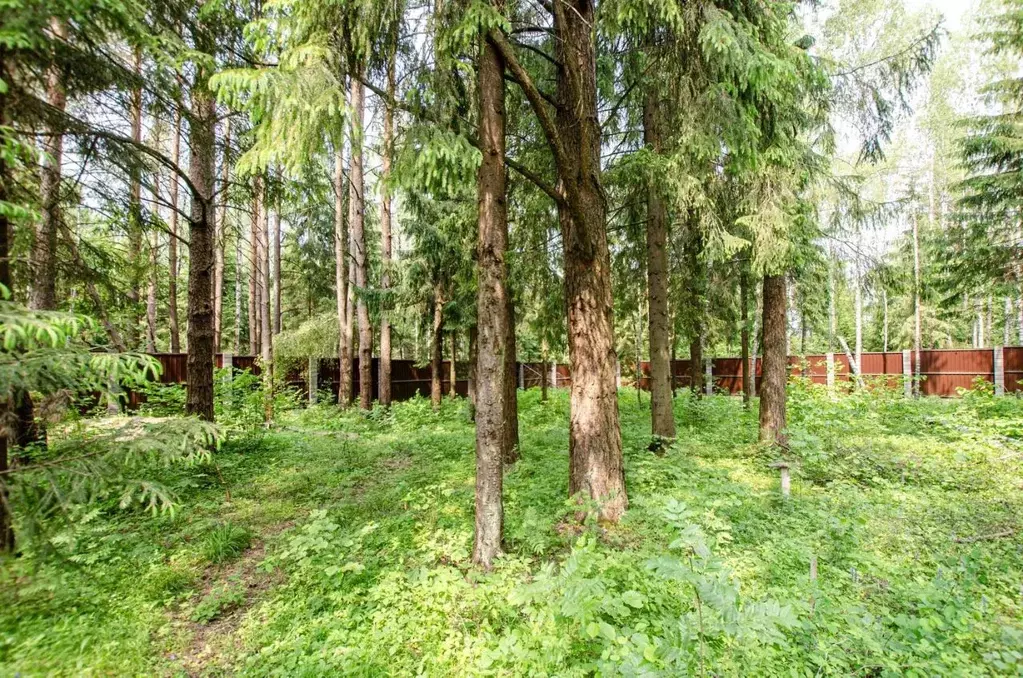 Участок в Московская область, Солнечногорск городской округ, д. Покров ... - Фото 1