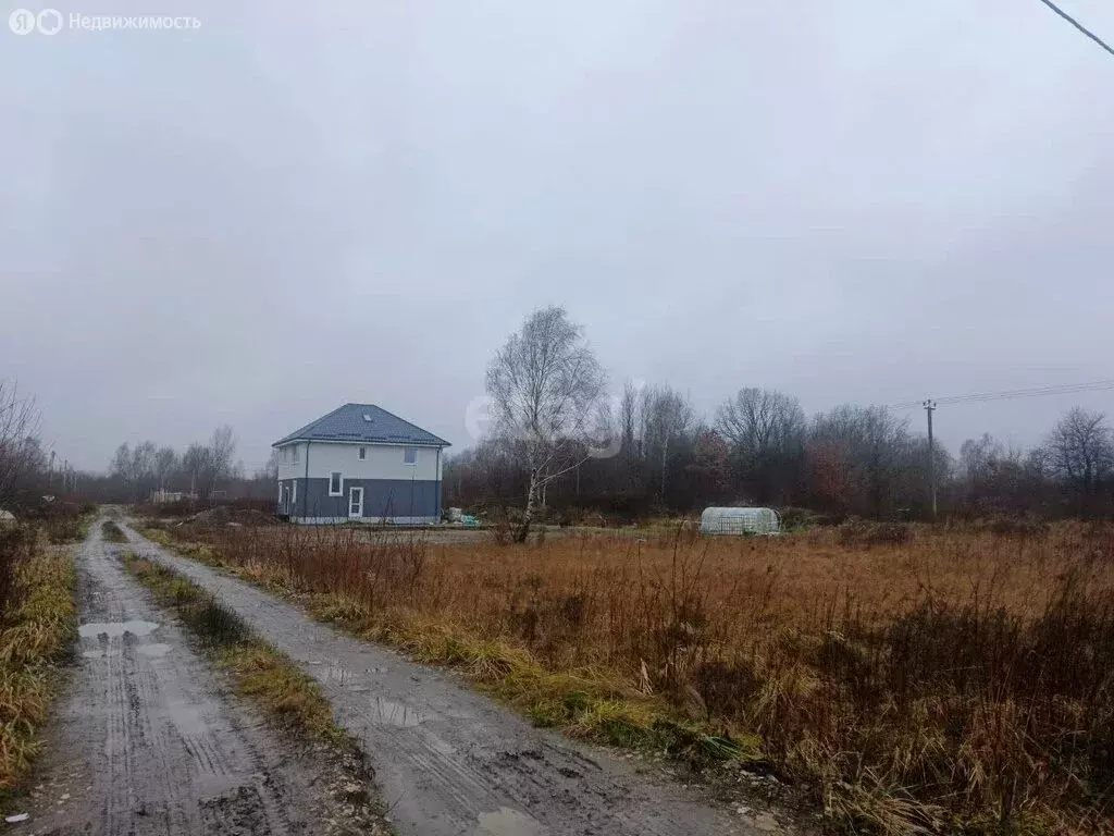 Участок в Калининградская область, Зеленоградский муниципальный округ, ... - Фото 1