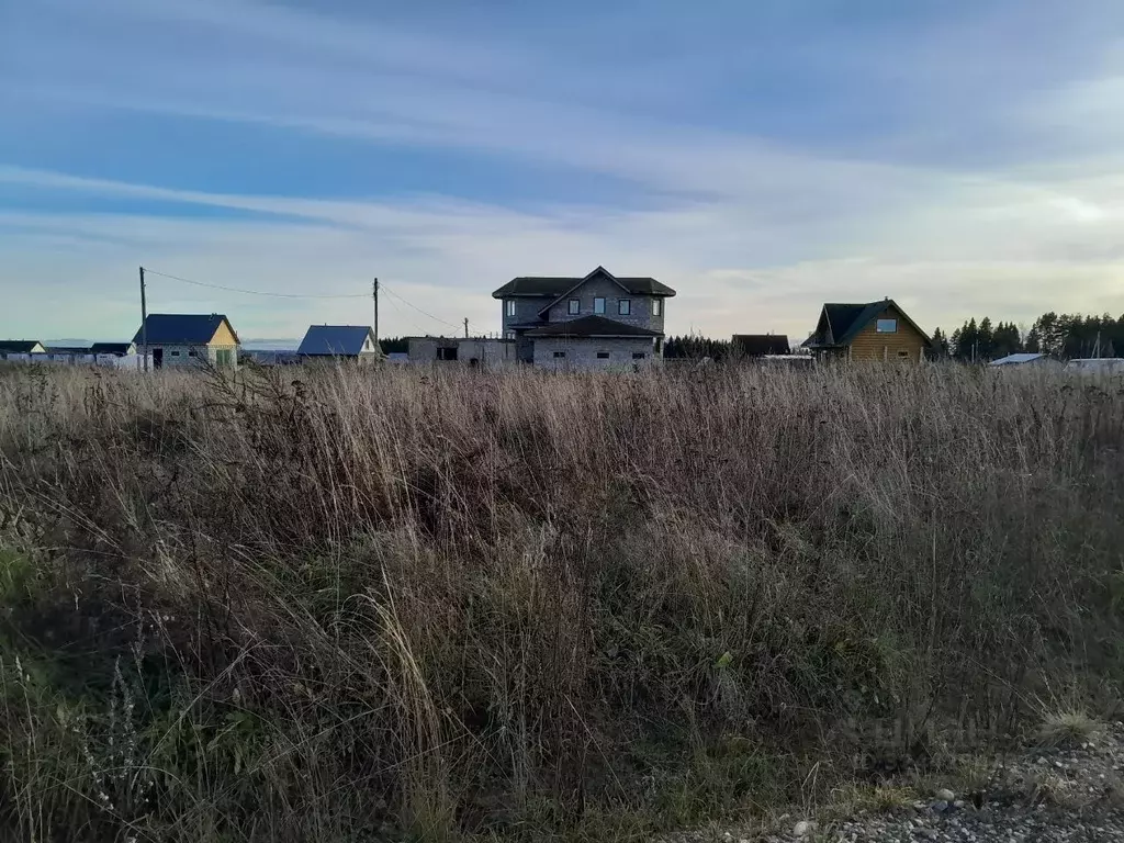Участок в Вологодская область, Шекснинский муниципальный округ, д. ... - Фото 2