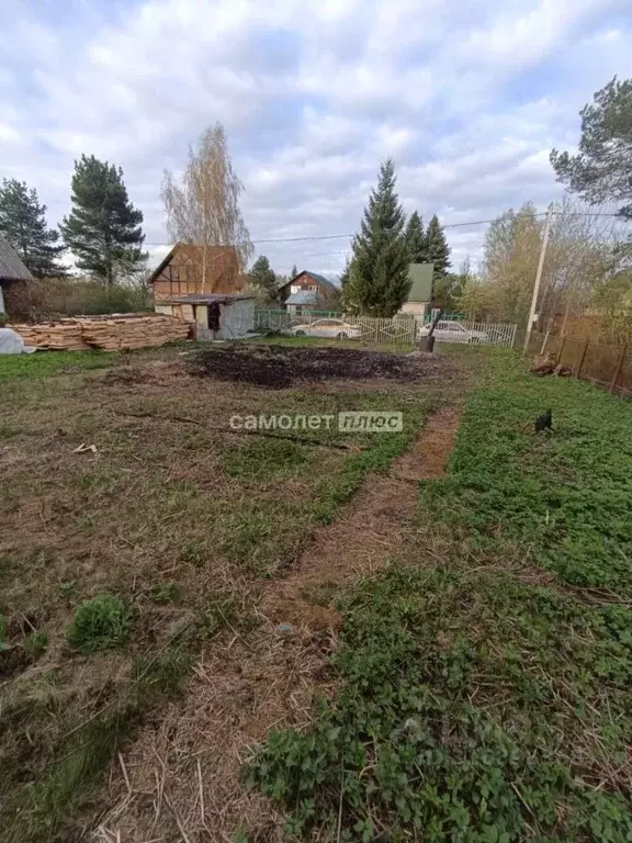 Участок в Московская область, Богородский городской округ, Мир СНТ 210 ... - Фото 0