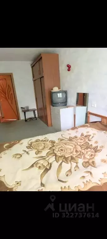 3-к кв. Нижегородская область, Нижний Новгород ул. Адмирала Васюнина, ... - Фото 2