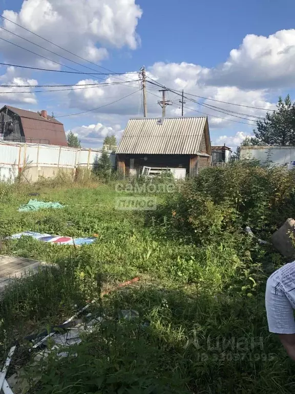 Участок в Ханты-Мансийский АО, Сургут Газовик СНТ, ул. Боровая (4.76 ... - Фото 2