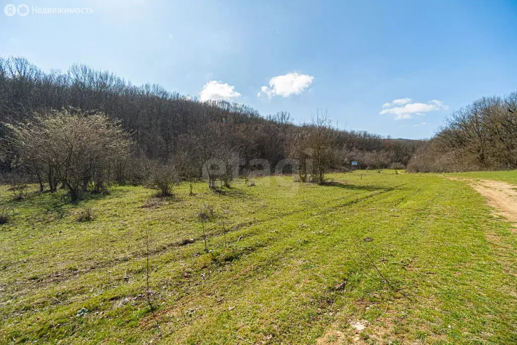 Участок в Орлиновский муниципальный округ, село Родниковое, улица ... - Фото 2