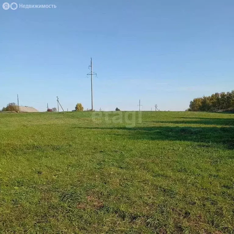 Участок в Кемеровский муниципальный округ, деревня Береговая (11.35 м) - Фото 2