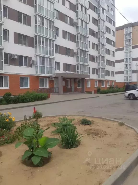 2-к кв. Волгоградская область, Волгоград ул. Гаря Хохолова, 13 (35.0 ... - Фото 0