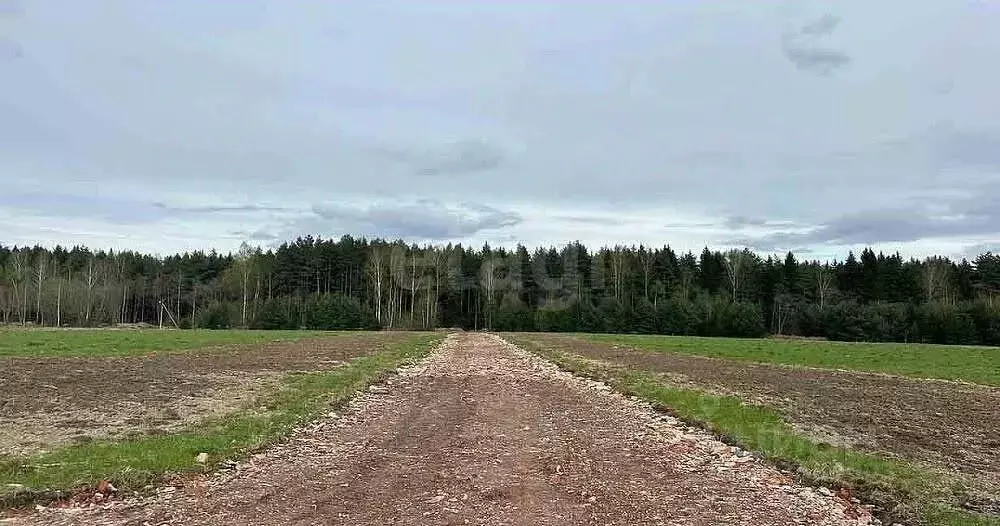 Участок в Московская область, Клин городской округ, Решетниково рп ул. ... - Фото 0