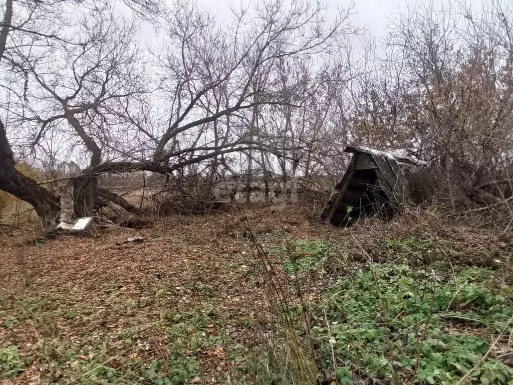 Дом в Белгородская область, Губкинский городской округ, с. Панки ул. ... - Фото 1