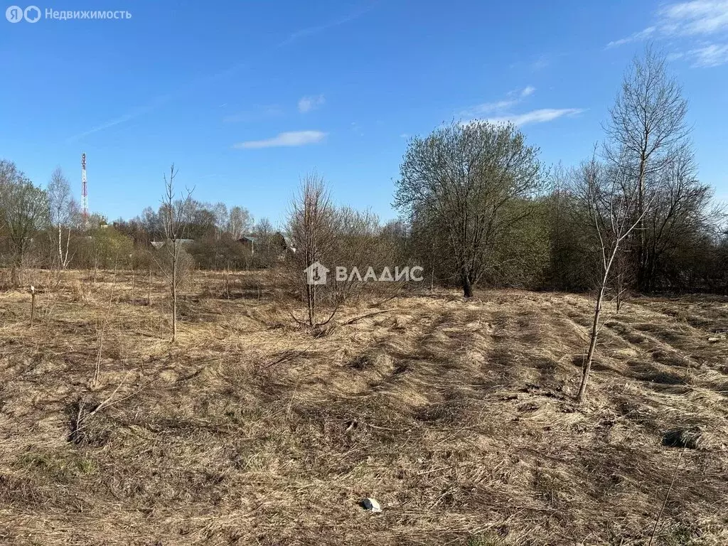 Участок в Владимирская область, Суздальский муниципальный округ, село ... - Фото 2