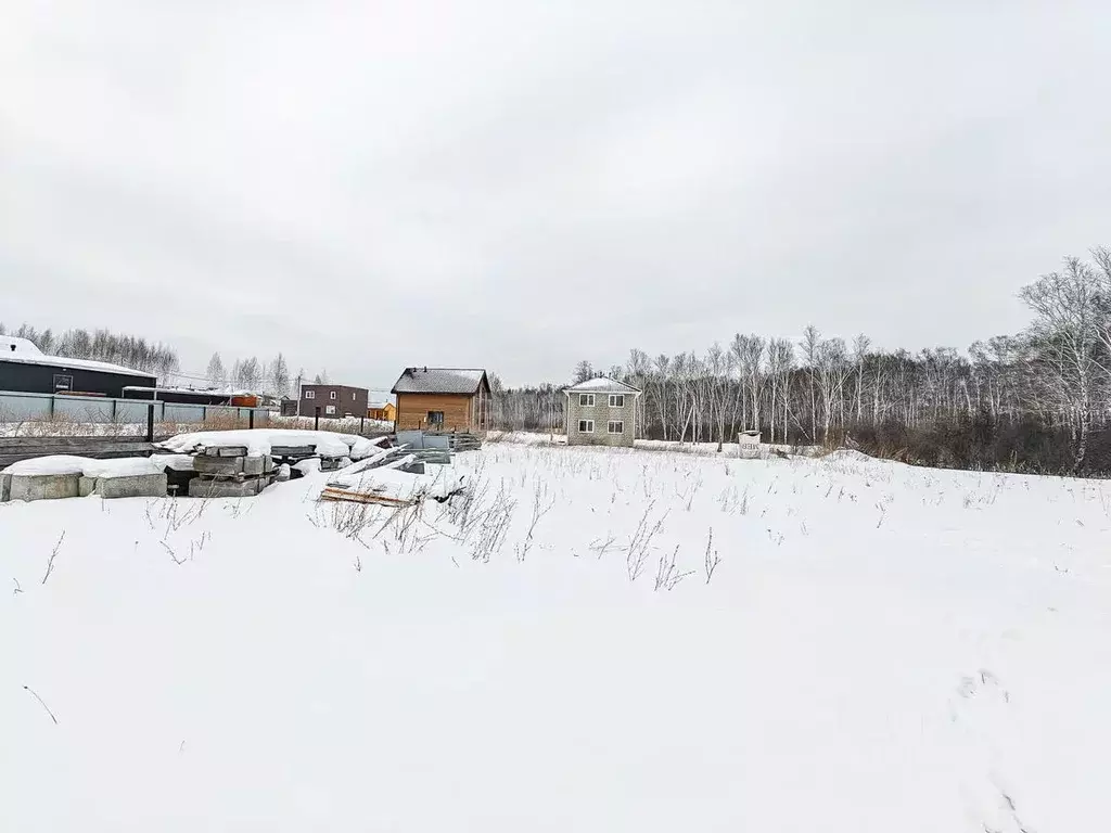 Участок в Новосибирская область, Новосибирский район, Каменский ... - Фото 0