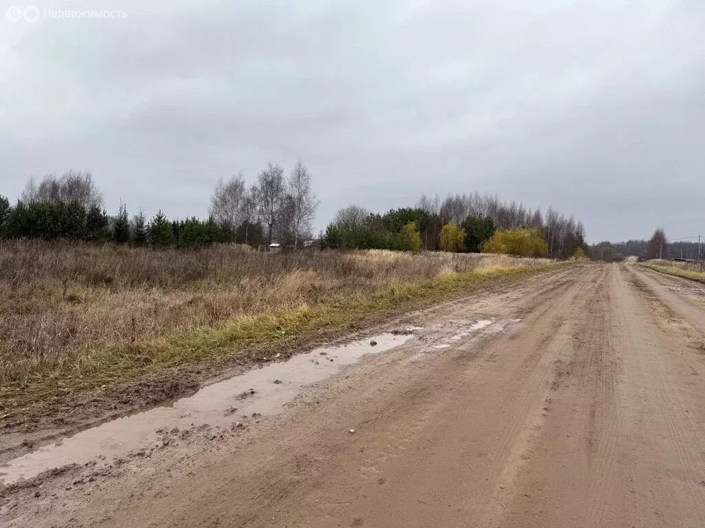 Участок в Ярославская область, Переславль-Залесский муниципальный ... - Фото 2