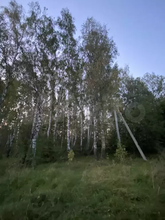 Участок 12 сот. (ИЖС) - Фото 0