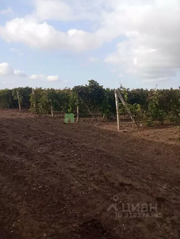 Производственное помещение в Крым, Ленинский район, с. Красногорка ул. ... - Фото 1