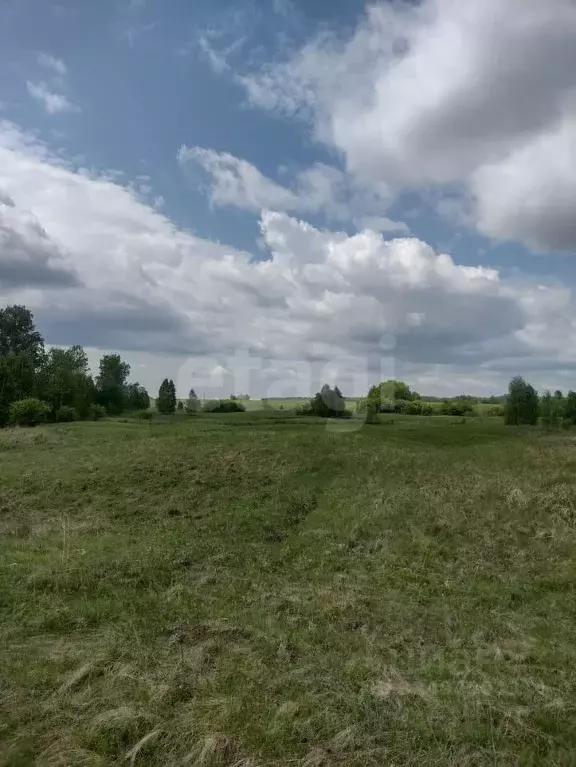 Участок в Красноярский край, Емельяновский муниципальный округ, ... - Фото 1