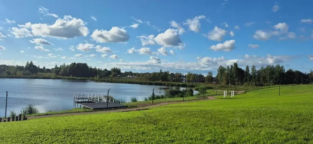 Участок в Ленинградская область, Приозерский район, Сосновское с/пос, ... - Фото 2