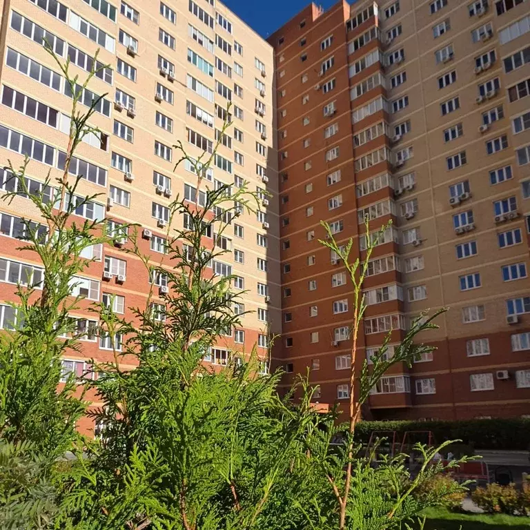 1-к кв. Челябинская область, Челябинск ул. Аношкина, 8 (55.0 м) - Фото 0