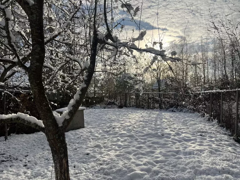 Дом в Московская область, Богородский городской округ, Дубрава СНТ 41 ... - Фото 2