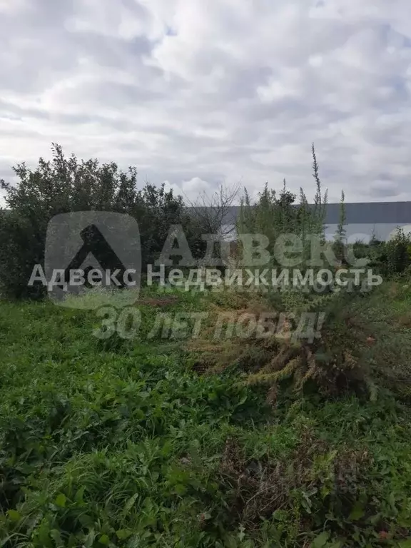 Участок в Тюменская область, Тюмень Казарово мкр, ул. 1-я Новая, 91 ... - Фото 2