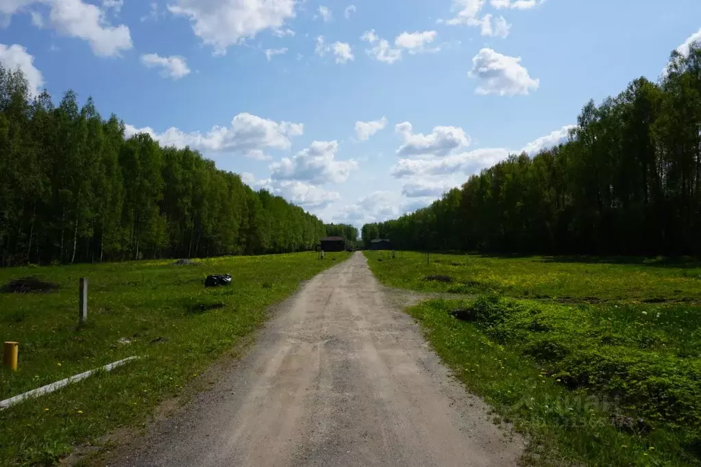 Участок в Тверская область, Конаковский муниципальный округ, д. ... - Фото 2