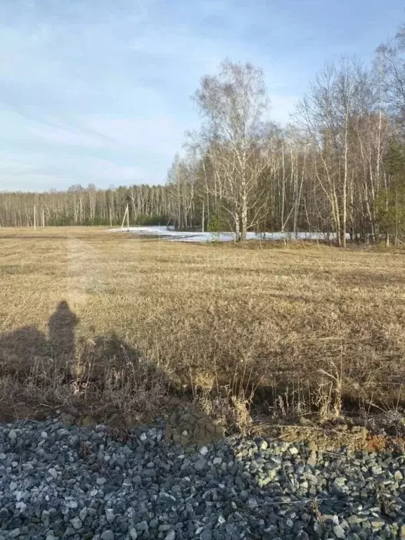 Участок в Тюменская область, Тюменский муниципальный округ, с. Кулига  ... - Фото 1